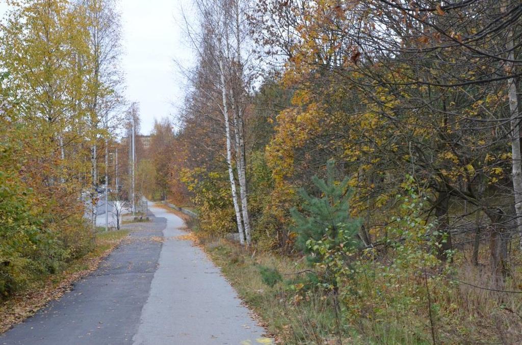Bredden på den befintliga gång- och cykelvägen varierar mellan 2,5 till 3,5 meter. Cykeltrafiken är dubbelriktad.