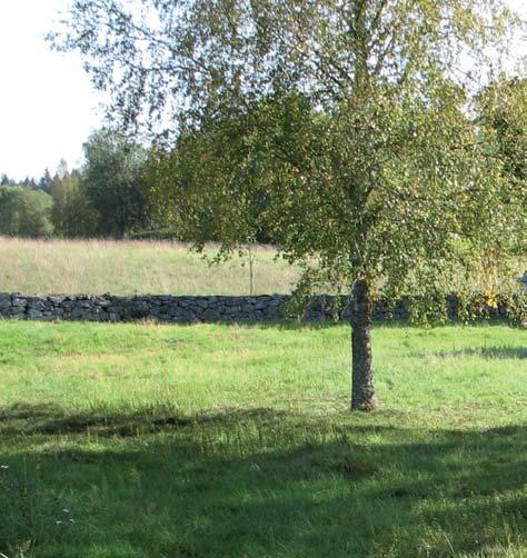 i Jönköpings kommun Jönköpings län, Växjö stift