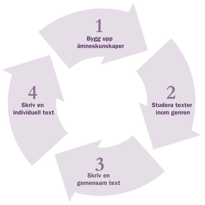 Figur 1. Cirkelmodellen (efter Kuyumcu, 2004) Modellen har som syfte att synliggöra vad som är utmärkande för de texter som eleverna läser och skriver inom ett ämne.