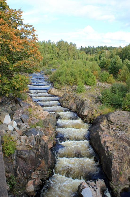 En fiskväg (invigd 2004) leder laxen och öringen upp till nyskapade lekområden i den