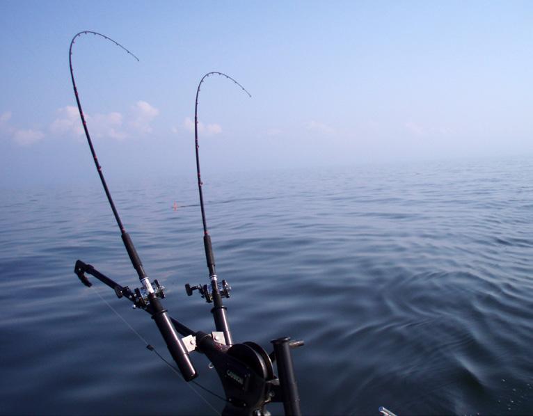 kan stanna i rinnande vatten även när möjlighet finns till vandring ut i havet eller någon större sjö (t.ex. Degerman m.fl. 2001; Lundqvist m.fl. 2006).