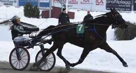 Han ska ha snälla lopp och det är en travsäker häst som kommer tjäna pengar framöver, sade Sonny Olsson som till vardags jobbar på sportkontoret på Gävletravet.