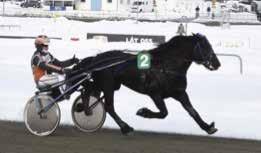 HÄNT SEN SIST nyheter från gävletravet Solvalla 27 februari I karriärens sjätte start var treåriga Loser On Loser, efter Infinitif, en vinnare för Ulf Ohlsson.