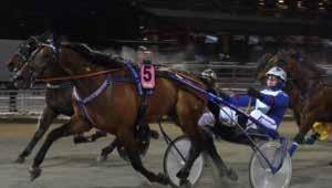 Segertid nya rekordet 17,3/2140 meter och fina 70.000 kronor. Loser On Loser är andra avkomman till framgångsrika Beastar, 1,9 miljoner.