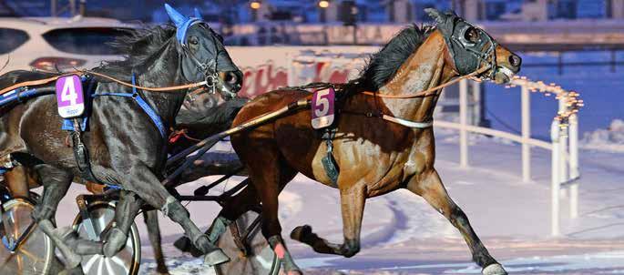 HÄNT SEN SIST nyheter från gävletravet Axevalla 17 februari Mattias Hansson, lärling hos Håkan Wallberg och ansvarig för hästarna som Åbron 35 AB, Gävle, äger upplevde under lördagen karriärens