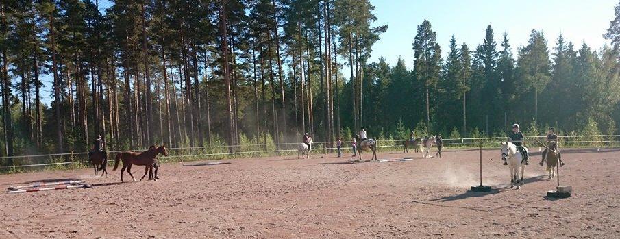 Vi i vår tur får hjälpa till vid bingokvällar som kontrollanter, plocka ryggsäckar vid Vasloppet och vi anordnade en ponnyridning under MT-cupen, säger Agnetha Svantesson.