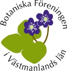 Botaniska Föreningen i Västmanlands län (BFV) 1 Inventering av kärlväxtfloran i Västmanlands län Årsrapport 2011 Bengt Stridh. Revision 2012-03-25.