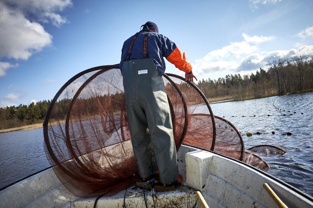 Klara Vatten Sverige AB Bottengarn Syftet med att använda bottengarn var att få en bättre uppfattning om de arter och storlekar som i regel inte fastnar i provfiskenät, till exempel gädda, stor