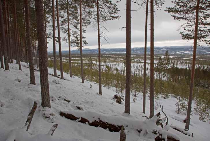 Översiktsplaner 1992,1994 och 2009 Flera övesiktsplaner har tagits fram för området och förankrats på det kommunala