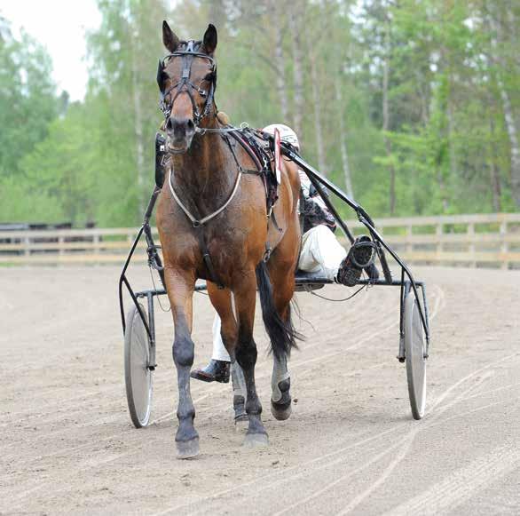 VAGGERYDS TRAVET Fredag 21