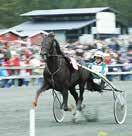 på Solvalla, vilket är kul för oss. Bra omsättning och stort intresse medialt gynnar vår region. Vi kör naturligtvis även en V4:a denna dag.