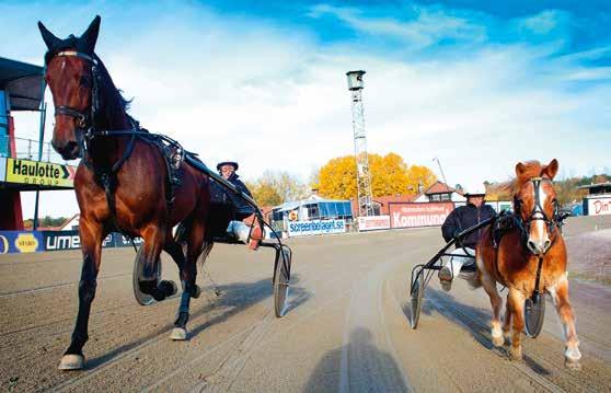 500:-). Lokala avvikelser kan förekomma. www.vaggerydstravet.se/travskolan Välkommen till travsporten!