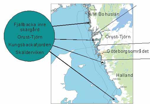 3. Metodik 3.1. Skalor I projektet Finn de områden som göder havet mest arbetar vi med tre skalindelningar av havet (se figur 1); 1) Havsbassäng d.v.s. Kattegat och Skagerrak, som är den största skalan.