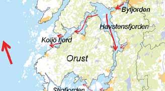 Detta diskuteras nedan med hjälp av observationer av partikulärt organiskt material (POC). Den högre klorofyllkoncentrationen vid Galterö i Askeröfjorden beror bl.a. på tillförsel av näringsämnen från reningsverk och industri i Stenungsundsområdet och sammanfaller med kända problem med snabbväxande makroalger i Askeröfjorden.