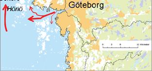 Den lokala sänkan av näringsämnen (nettosedimentation och denitrifikation) är liten i Göteborgsområdet och största delen av näringstransporten följer kustlinjen norrut.