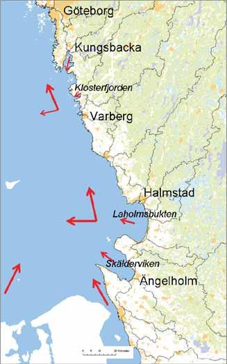 I figur 41 ses tydligt förhöjda medelkoncentrationer av klorofyll i framförallt inre delen av Kungsbackafjorden och Skälderviken som en trolig effekt av de högre koncentrationerna av näringsämnen som