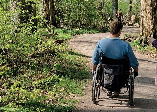Trä används på olika sätt, bland annat som staket runt tomten och som material till utomhusträning och aktivitet Växthus med generösa arbetsytor