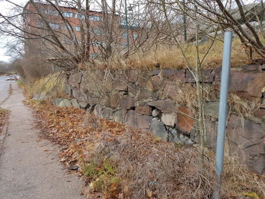Figur 10. Vegetation ovanpå muren kilar isär stenblock. Foto tagit mot väst. 8.