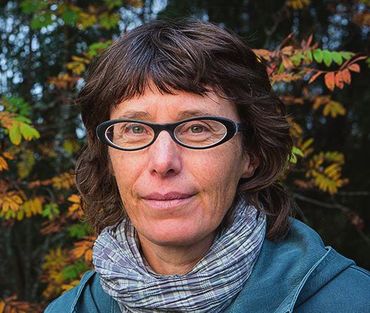 Del av en Skogsstyrelserapport som undersöker problematik med definitionsförändringar i skogstypbeskrivningar från 1953 1982. Landsskogtakseringen 192: Taksering av Norges skoger. Oslo Lindbladh, M.