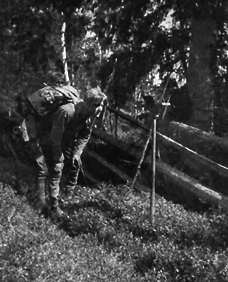 (figur 1). Från och med 1953 övergick man till provytor utlagda längs sidorna av en kvadrat avsedd att motsvara en dags arbete.