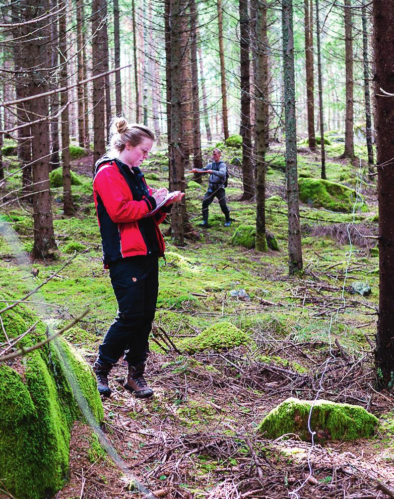 För att sätta in den första riksskogstaxeringen i ett ännu längre tidsperspektiv så sammanställde vi markanvändningen på 187-talet, så som den speglades i de häradsekonomiska kartor (Anonym 1876a, b,