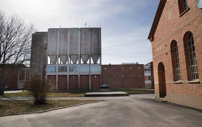 Dating en återvunnen anorektisk