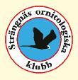 116 Det sörmländska fågelåret 2012 Hänt i klubbarna Strängnäs Ornitologiska Klubb, SOK SOK etablerar två egna fågelmatningar 2012 blev ännu ett intensivt år inom SOK.