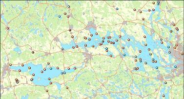 Havsörn.