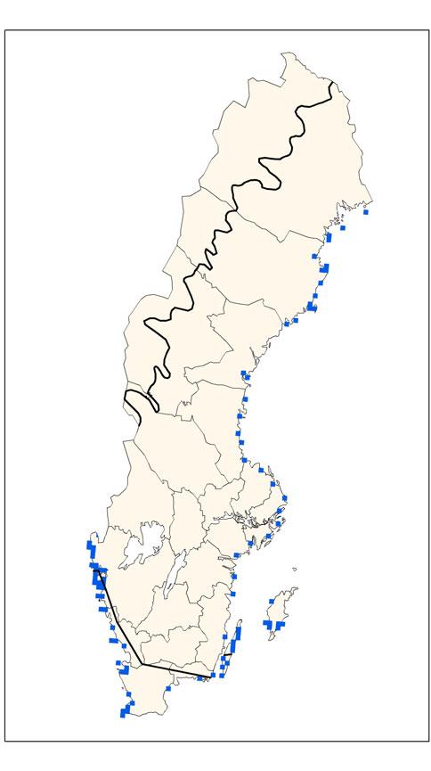 Förutsättningar för bevarande Länk: Gemensam text (förutsättningar för bevarande) #8 Naturtypen behöver förekomma i tillräckligt stora arealer.
