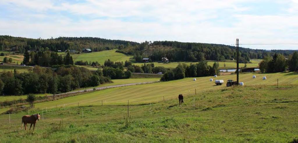 L126 går parallellt med en 40 kv ledning, där L126 är den vänstra av de båda ledningarna.