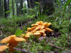TankaTankar TankaTankar förtankandemänniskorinomföretagochorganisationer