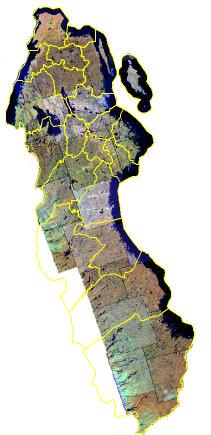 Satellitdata Det är i huvudsak samma satellitdata som använts som vid den tidigare karteringen, nämligen Landsat- och SPOT-data med en upplösning på 2-3 meter.