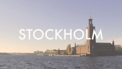 Förutom månatliga rapporter kan vi erbjuda specifika rapporter som går på djupet inom geografiska områden, utvalda målgrupper eller typ av