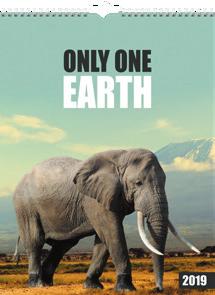 91 1791 19, Only one earth.