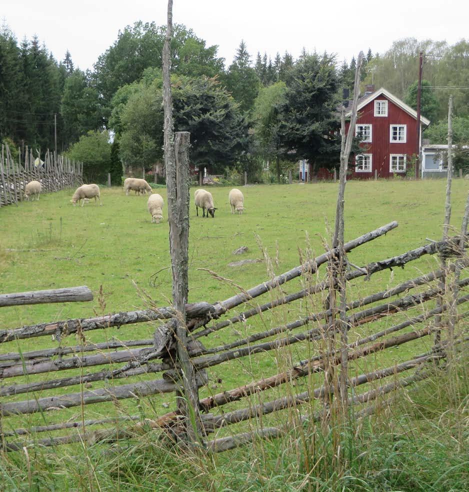 Mangårdsbyggnaderna i Kallemåla har alla olika karaktär, med en traditionell framkammarstuga, en stor 1910-talsvilla samt en salsbyggnad från omkring sekelskiftet 1900.