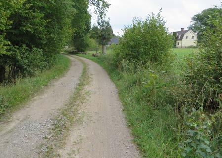 BILDER Väg.