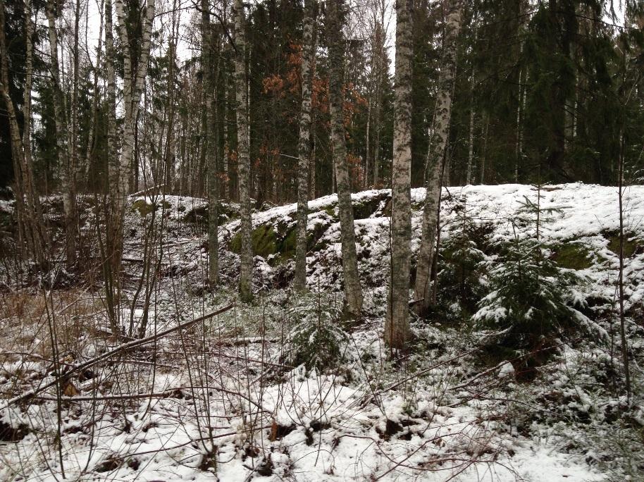 fältbesiktningen kalhyggen, vilket gav att sikten i sidled var större, se Figur 3.