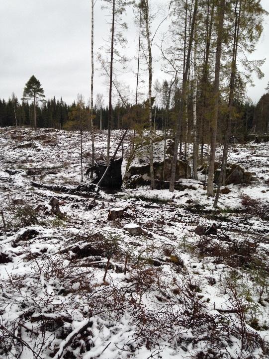 Jordartskartan anger att moränen är av typen sandig morän.