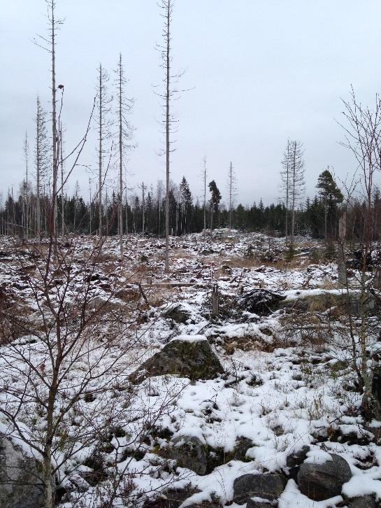 Figur 3 Berg i dagen i form av en mindre bergås.