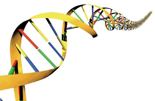 Kvantifierig av mängden DNA i luftproverna