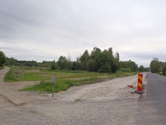 rikliga mängder naturvårdsintressanta arter och flera rödlistade arter.