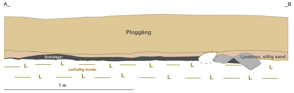 Bilaga 1 Undersökt