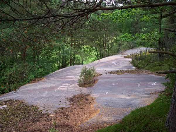 Bro 21:2 Beskrivning: Hällristning, 10x6,8 m (ÖNÖ-VSV), bestående av 10 skepp, 1 människofigur, 1 djurfigur, 9 obestämbara figurer och 5 skålgropar. Skeppen är 25-108 cm l.