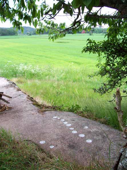Fig. 50. Bro 708 i Mellby. Ett typiskt läge för en skålgropslokal en avsats invid en hällkant på en åkerholme. Miljö mot SSO.