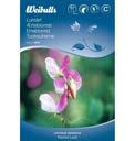 2 2 2 Lukt rt, ampel Lathyrus odoratus En lukt rt med speciellt, kompakt v xts tt, avsedd f r amplar, balkongl dor och krukor. Ljuvlig f rgmix i rosa, r tt och vitt samt en berusande doft.