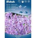 Blomningstid: uni Aug Sort: Triumph Mix Nemesia Nemesia strumosa En rikblommande kant eller rabattblomma. Enkla blommor i lysande klara f rger. Blomningen f rl ngs om vissnade blommor plockas bort.