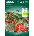 Sort: hite Gem 2 PRT 2 PRT PRT 2 2 2 Paprika busk Capsicum annuum Specialsort f r odling i kruka p altan eller terrass. Bildas tidigt normalstora frukter.