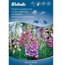 L mplig i b de rabatt och krukor. Trivs i l tt mullrik jord. nslig f r uttorkning. Sort: Salmon Fingerborgsblomma Digitalis purpurea En h g f rgrik planta som trivs ven i skuggiga l gen.