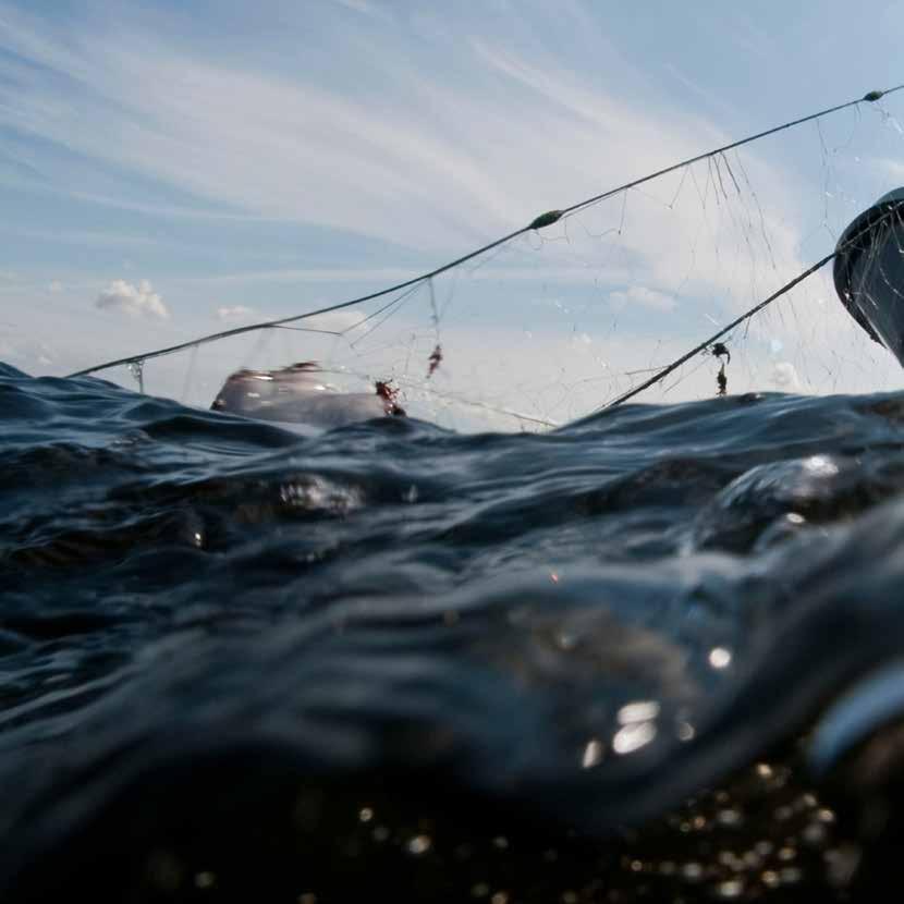 En ekosystembaserad fiskeförvaltning som tar hänsyn till hela