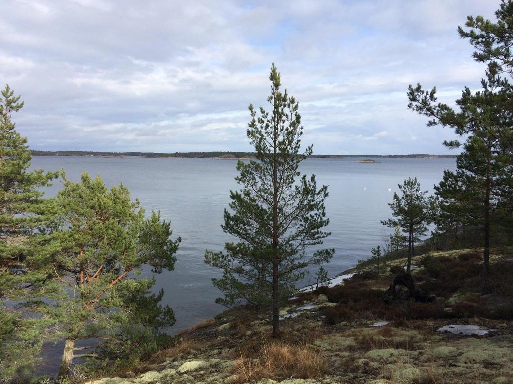 SÖDRA FINNÖSKOGENS NATURRESERVAT Vacker utsikt